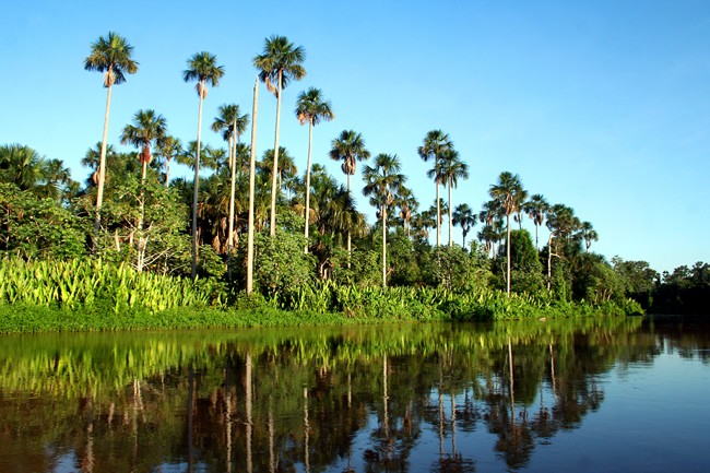 Caiman Hotel in Pantanal South - Marshlands