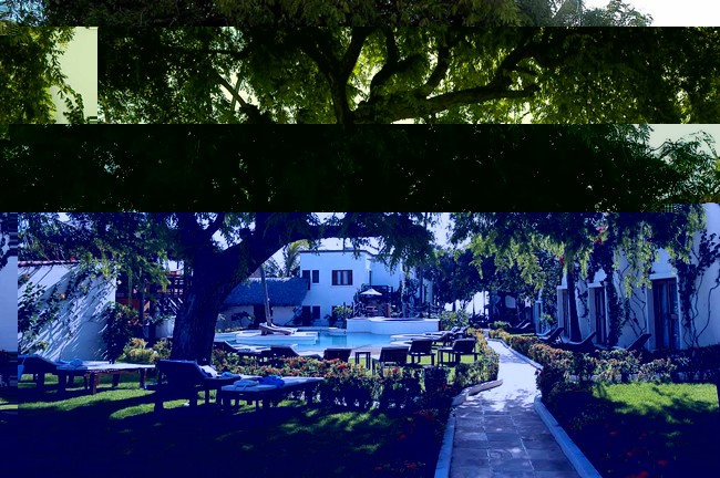 Mosquito Blue Hotel in Jericoacoara - Garden Mosquito Blue Hotel in Jericoacoara - Garden