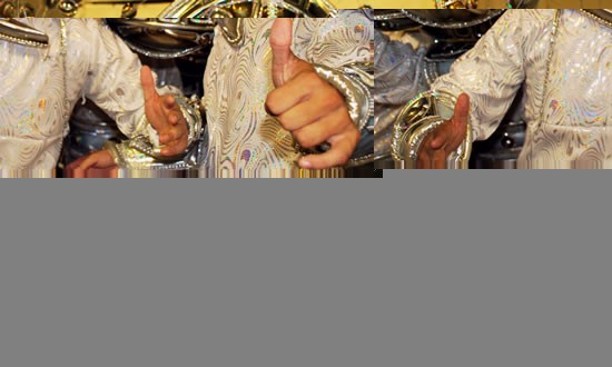 Rio Carnival Costume parade, Parading with the schools, Rio Samba Parade